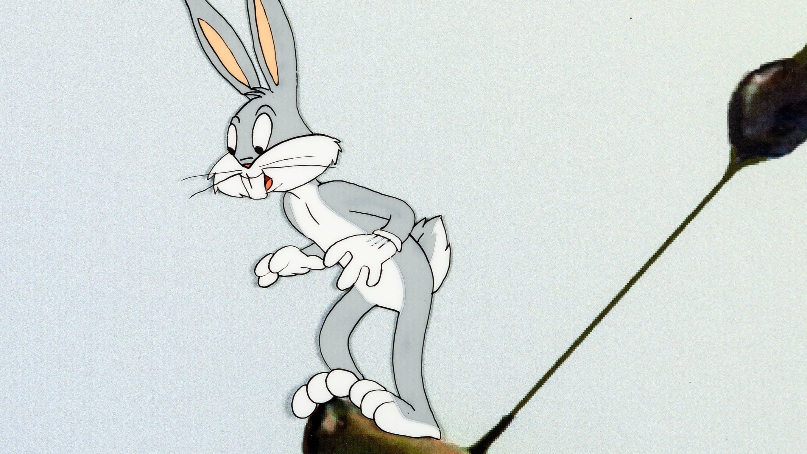 Pirat unter Beschuss