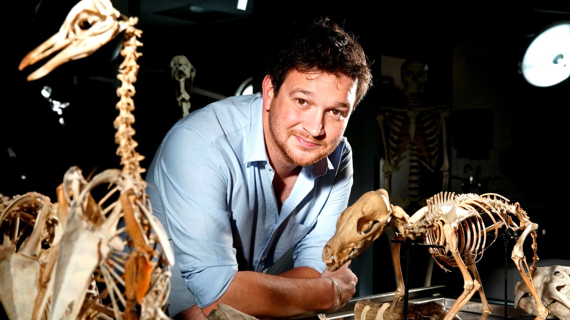 Das Geheimnis der Knochen