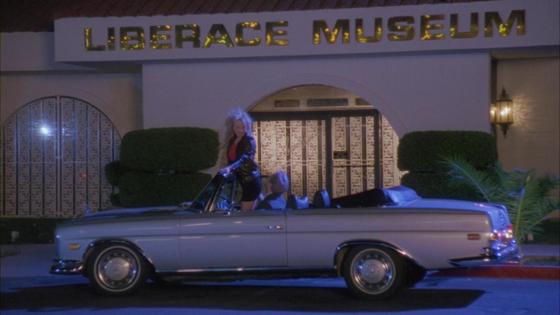 The Winner - Heiße Nächte in Las Vegas