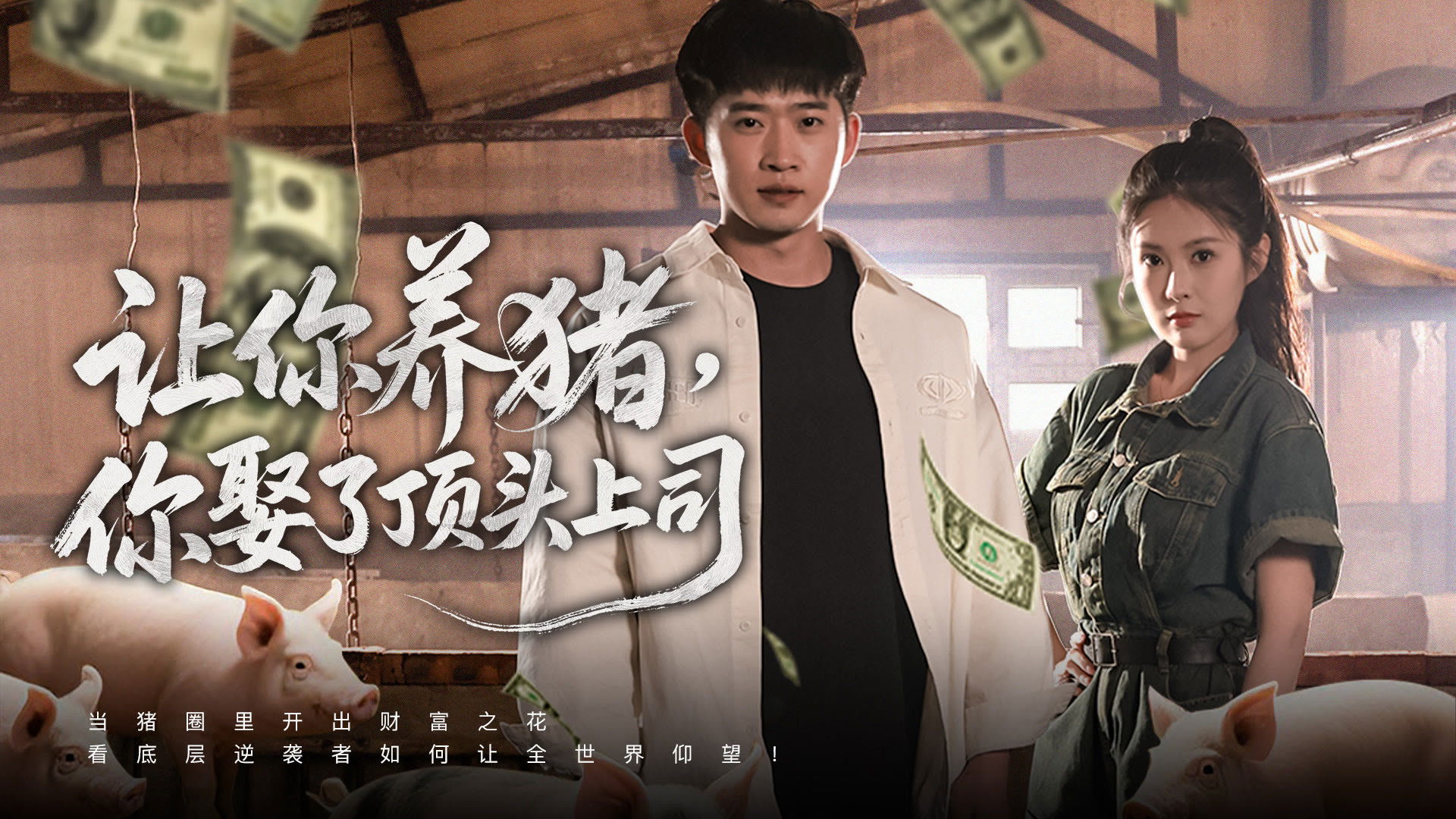 让你养猪，你娶了顶头上司