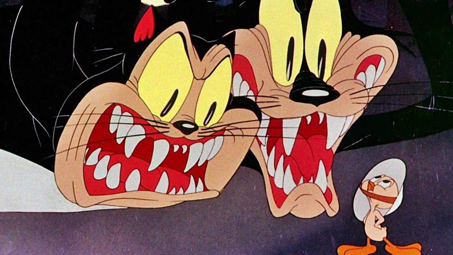 Die Geschichte zweier Katzen