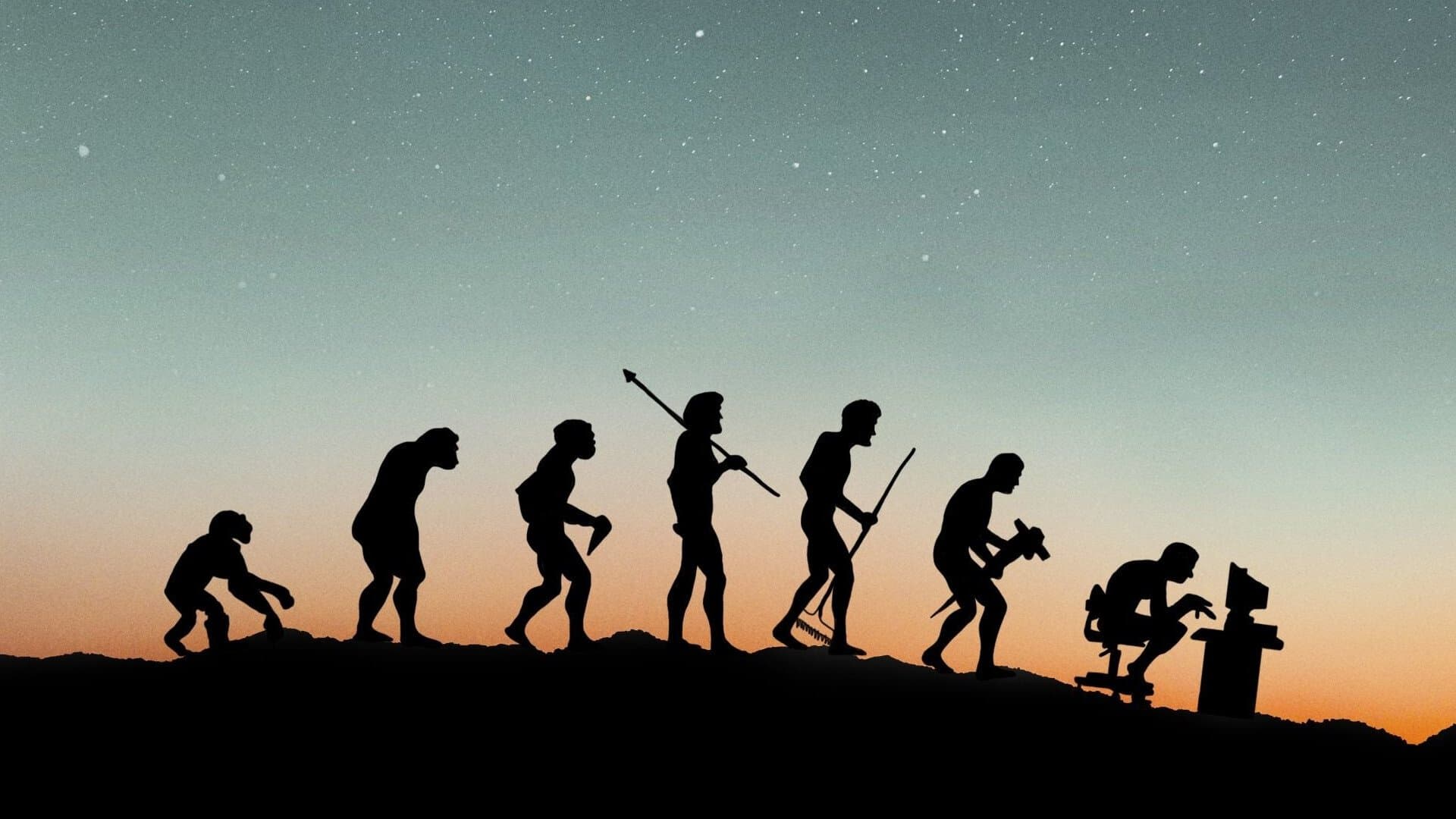 Wovon träumt das Internet?