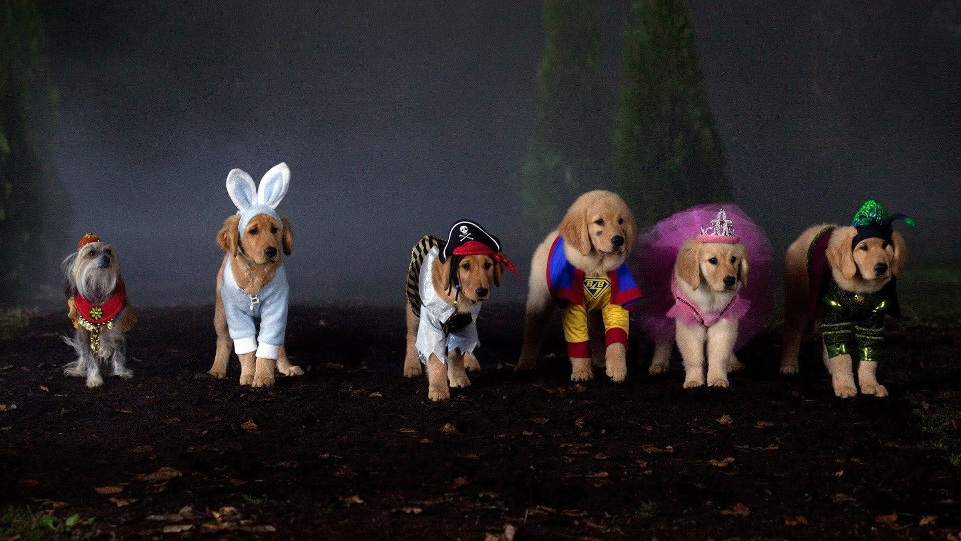 Spooky Buddies - Der Fluch des Hallowuff-Hunds