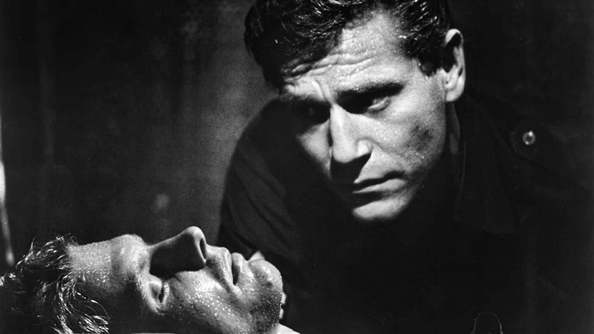 Sie nannten ihn King