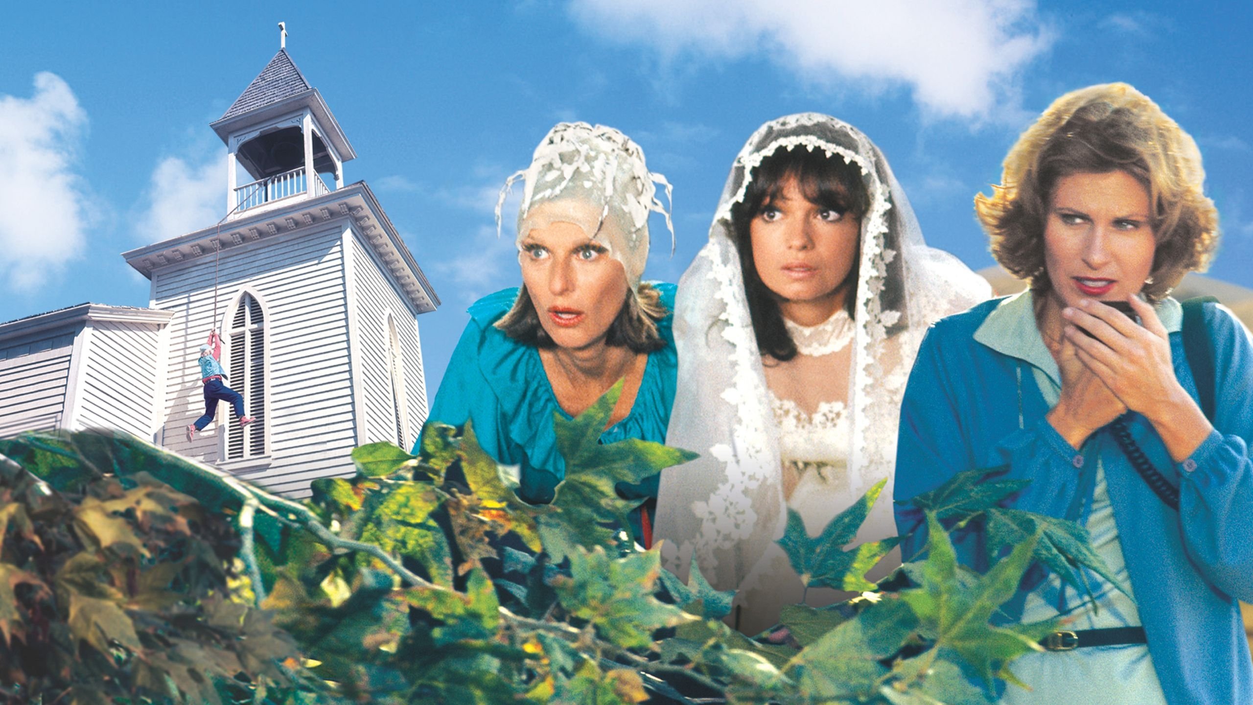 Eine ganz irre Truppe