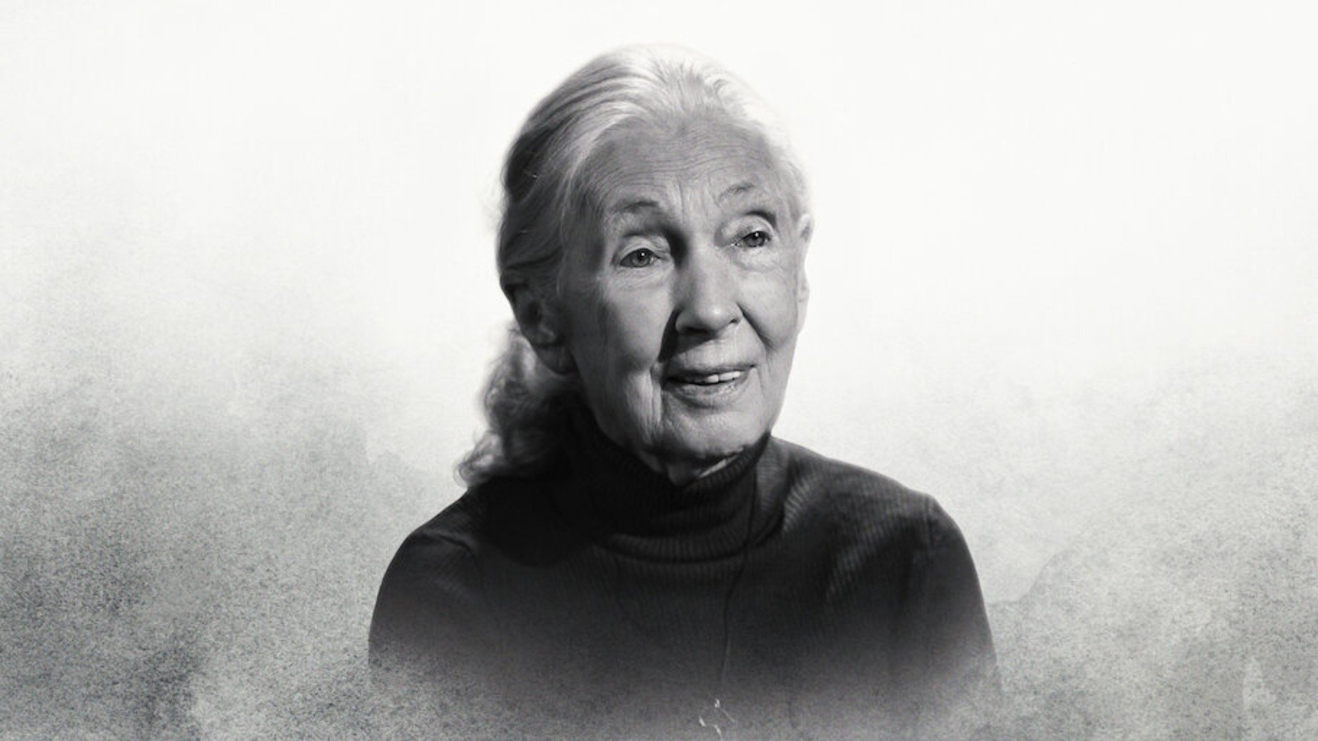 Famous Last Words: Dr. Jane Goodall