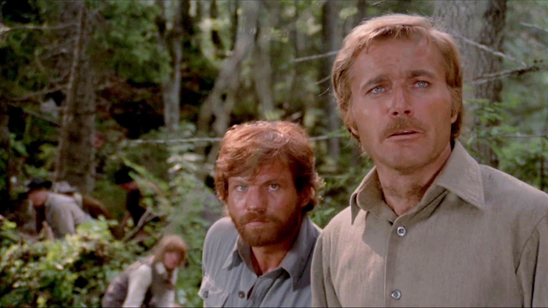 Jack London's Wolfblut