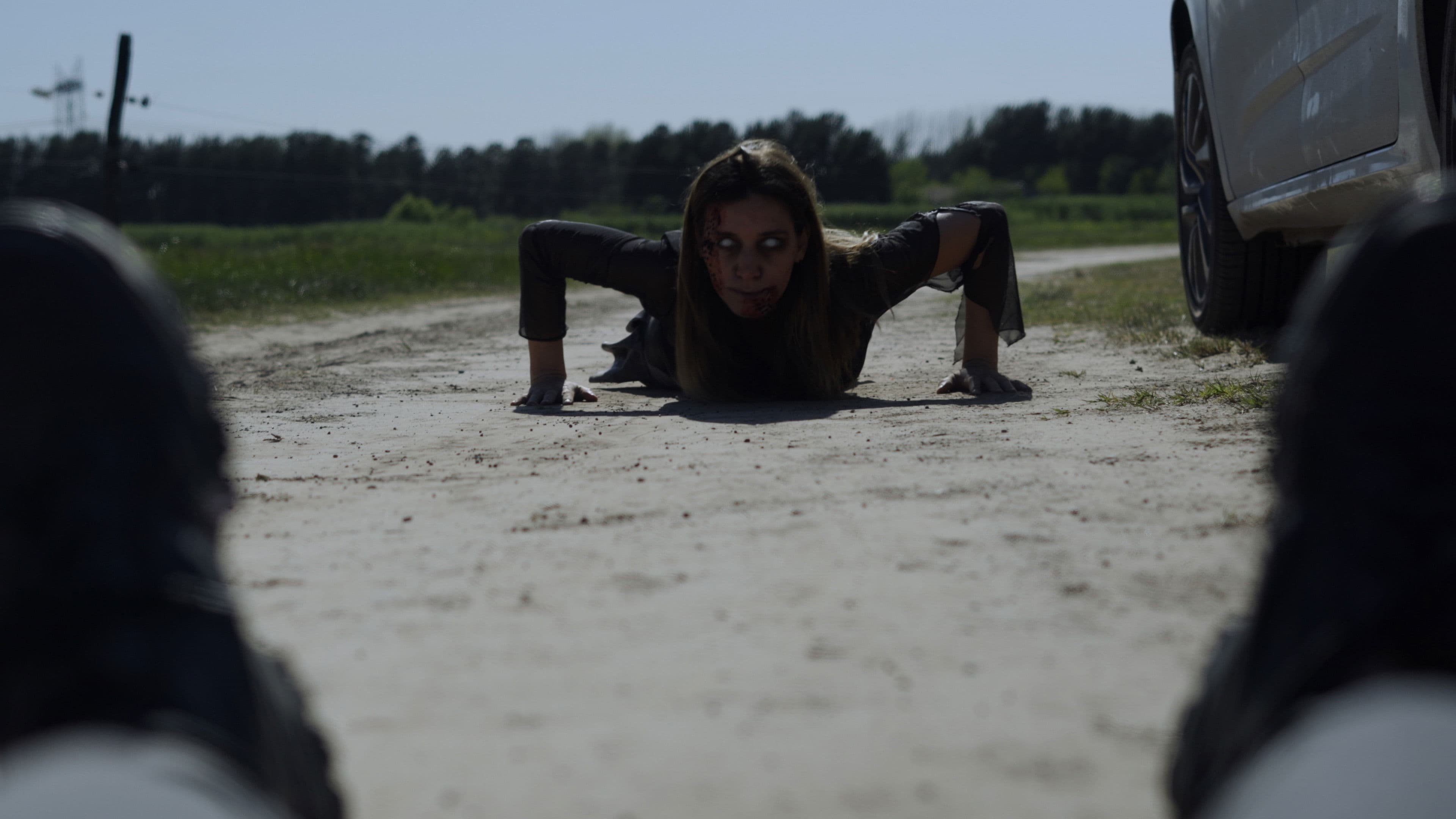 Lola contra los Zombies