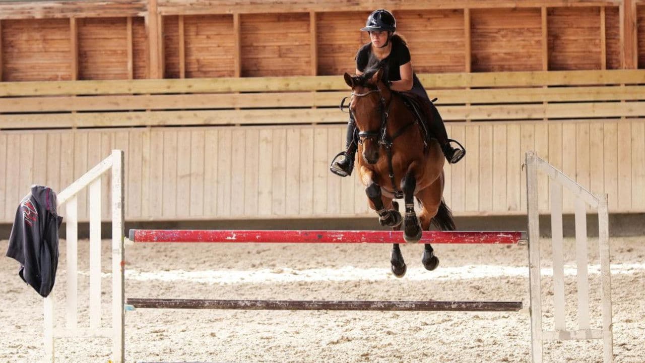 Au galop ! une saison à cheval