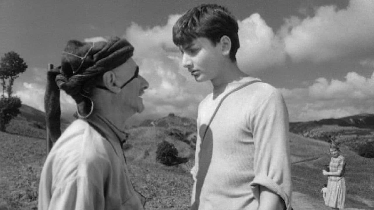 แแ, แแแแแ, แแแแแ แแ แแแแ แแแแ