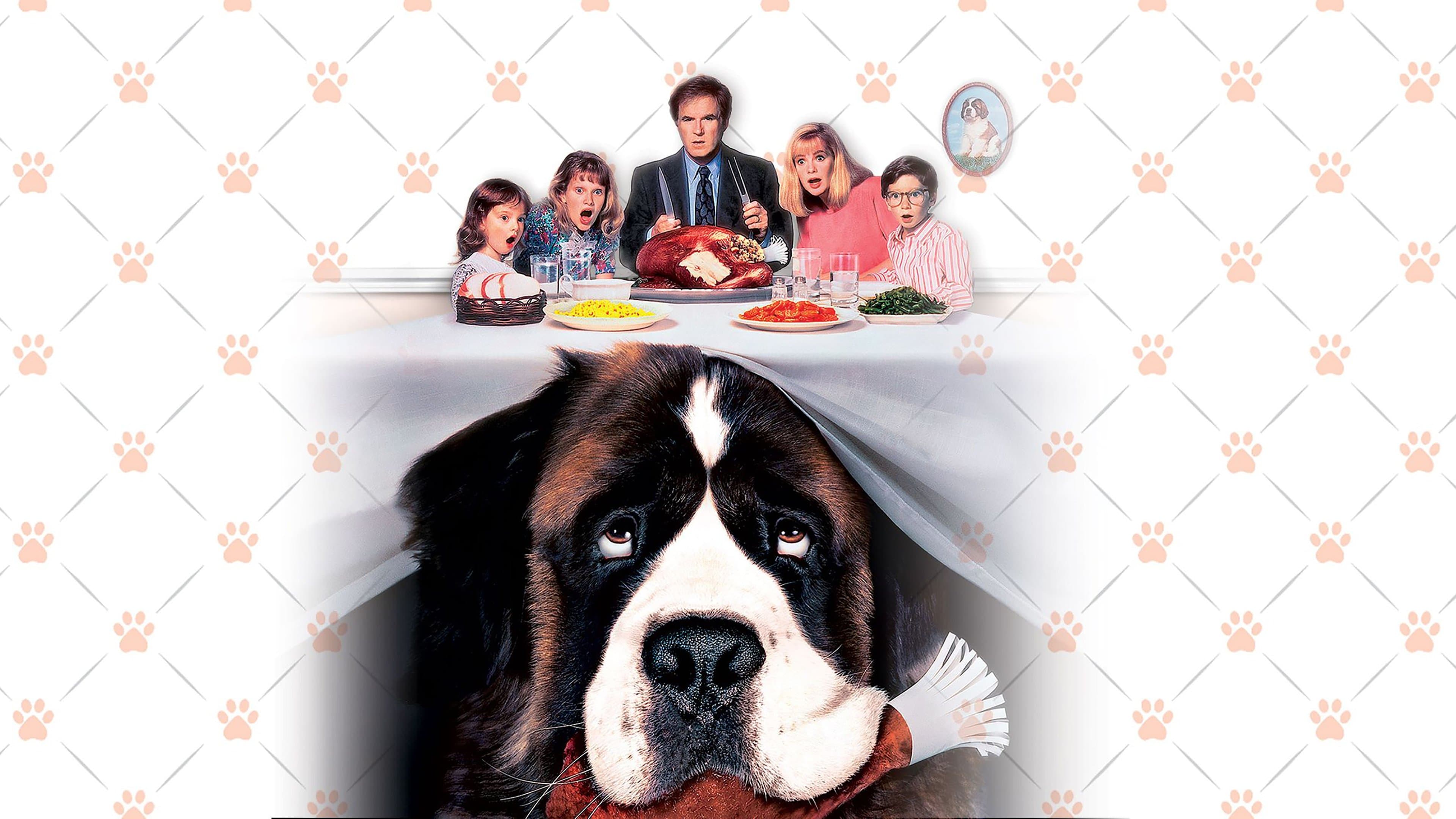 Ein Hund namens Beethoven