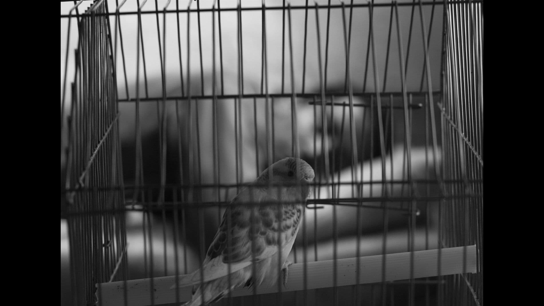 La distancia del tiempo