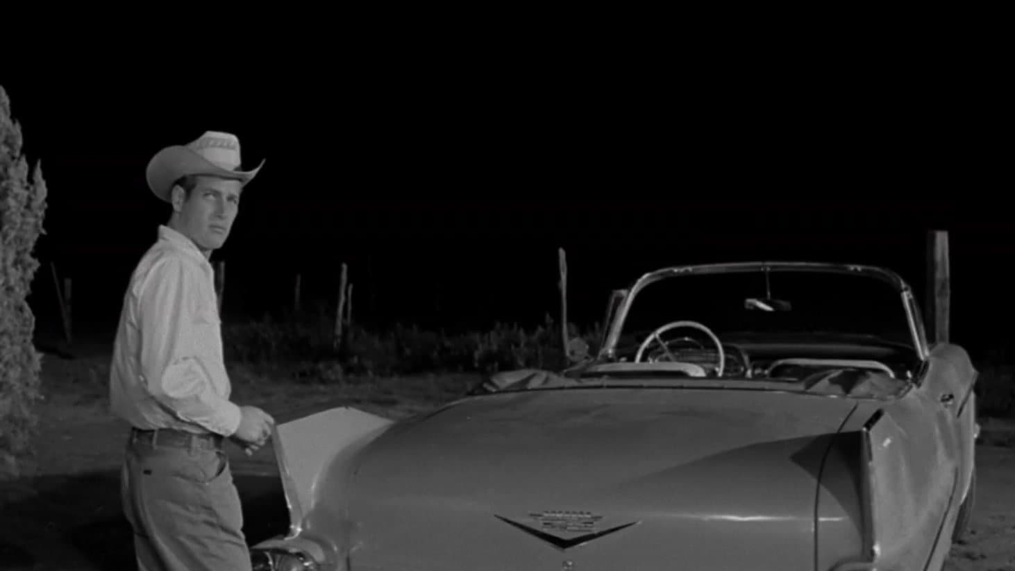 Der Wildeste unter Tausend