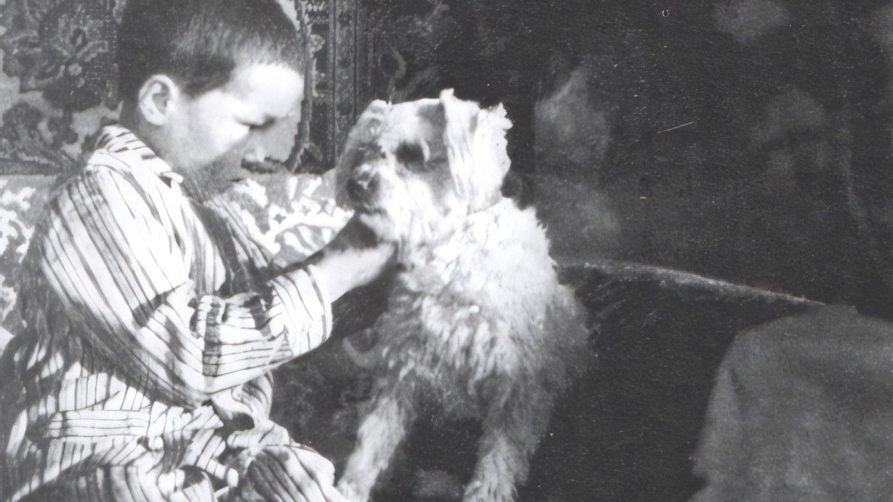 Толбот хивс