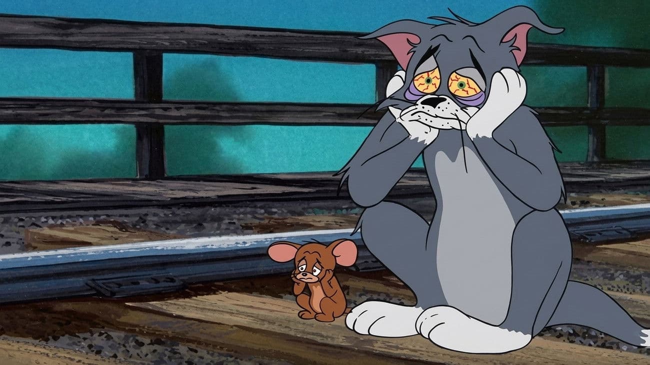 Dreimal armer, schwarzer Kater