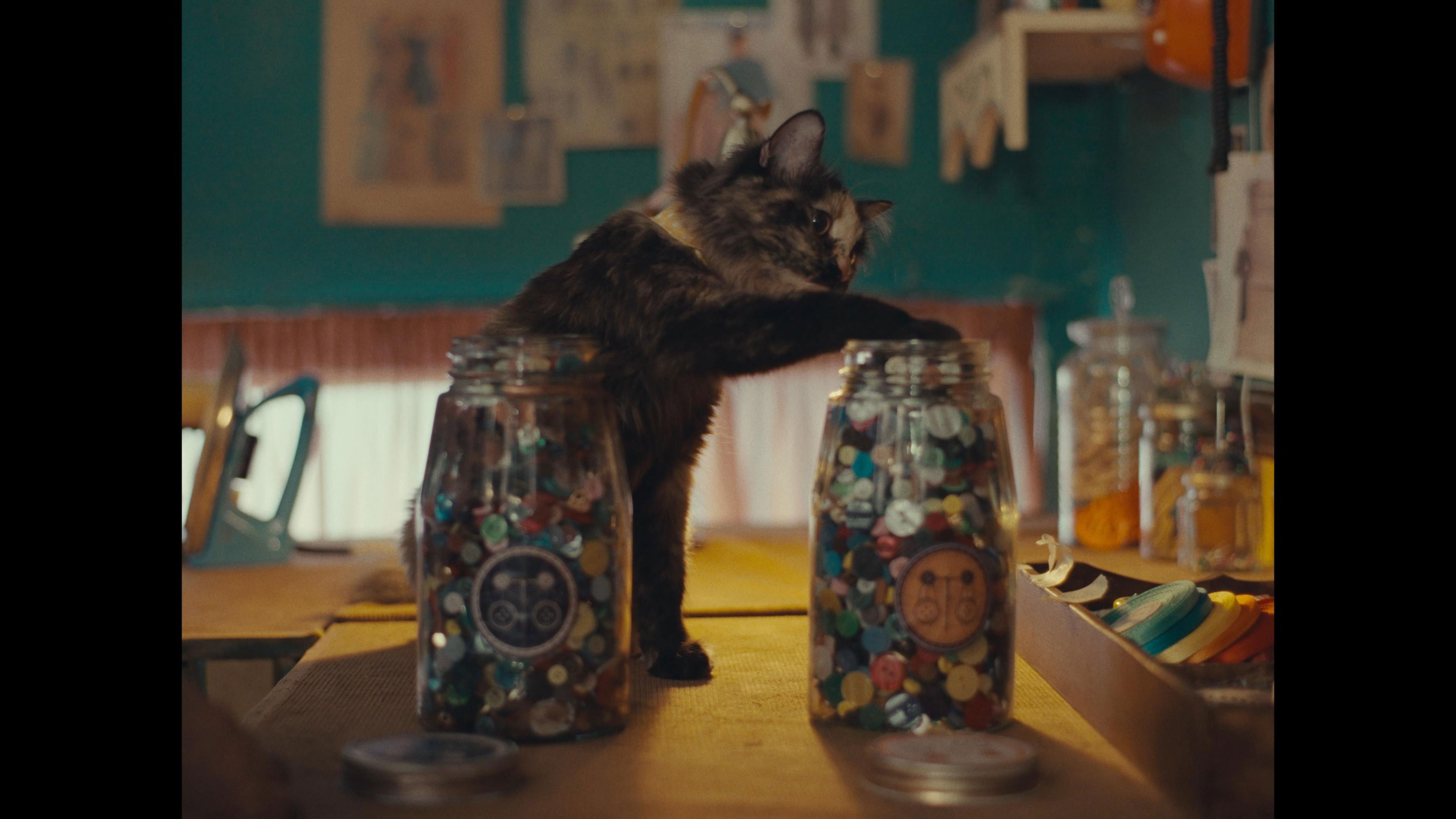 از اینجا باز شود