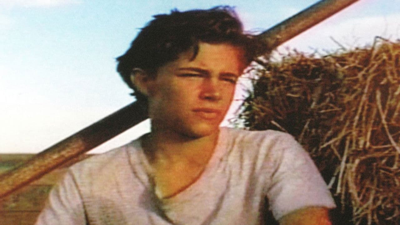 Shimmer – Flucht im Mondlicht