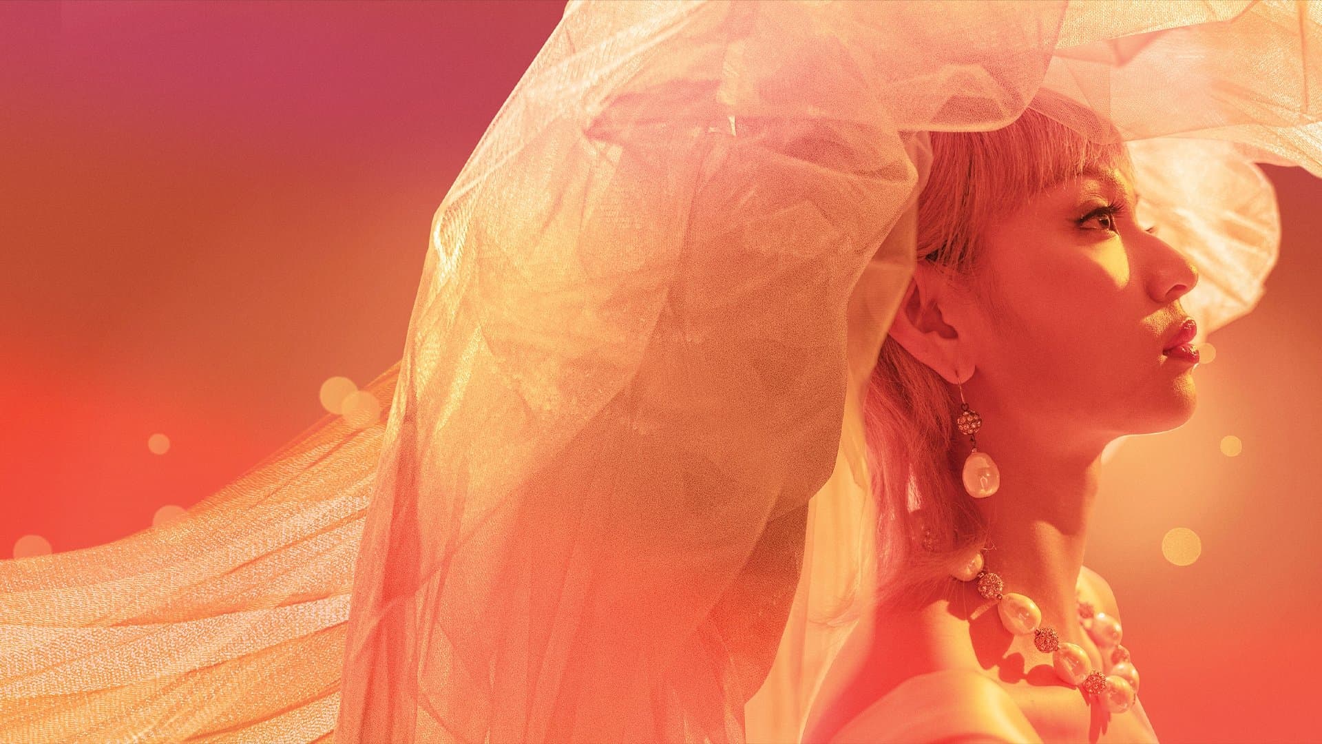 梅艷芳：導演版