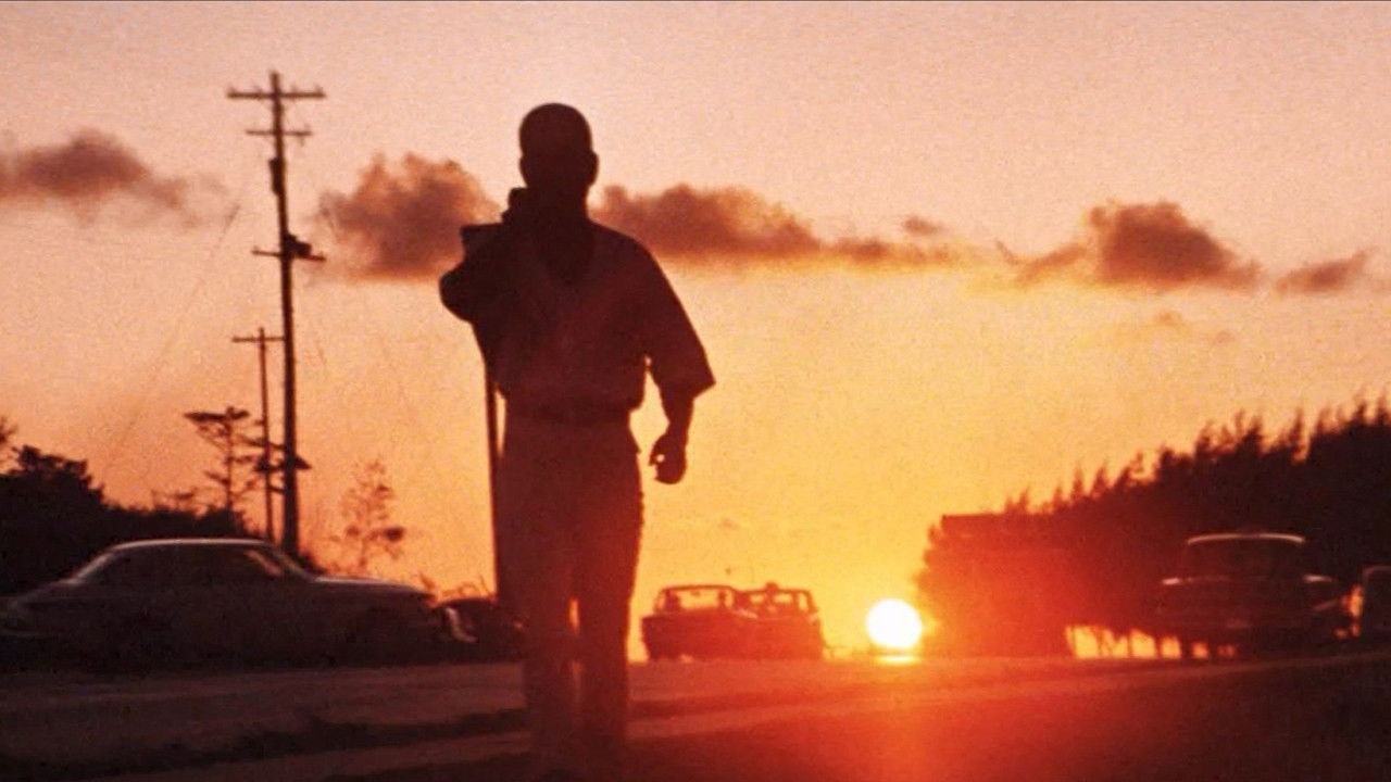 網走番外地 南国の対決