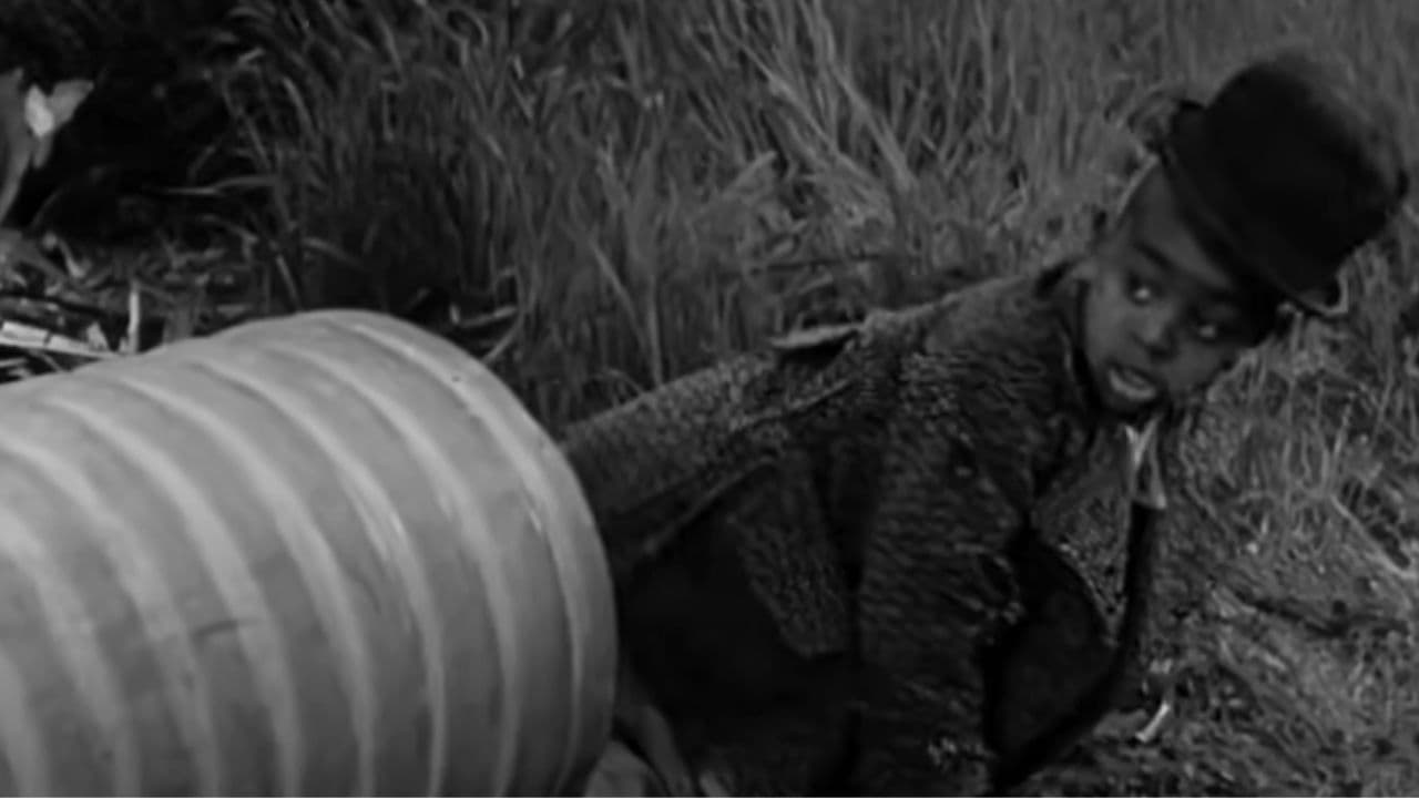 Pete und die Hundefänger