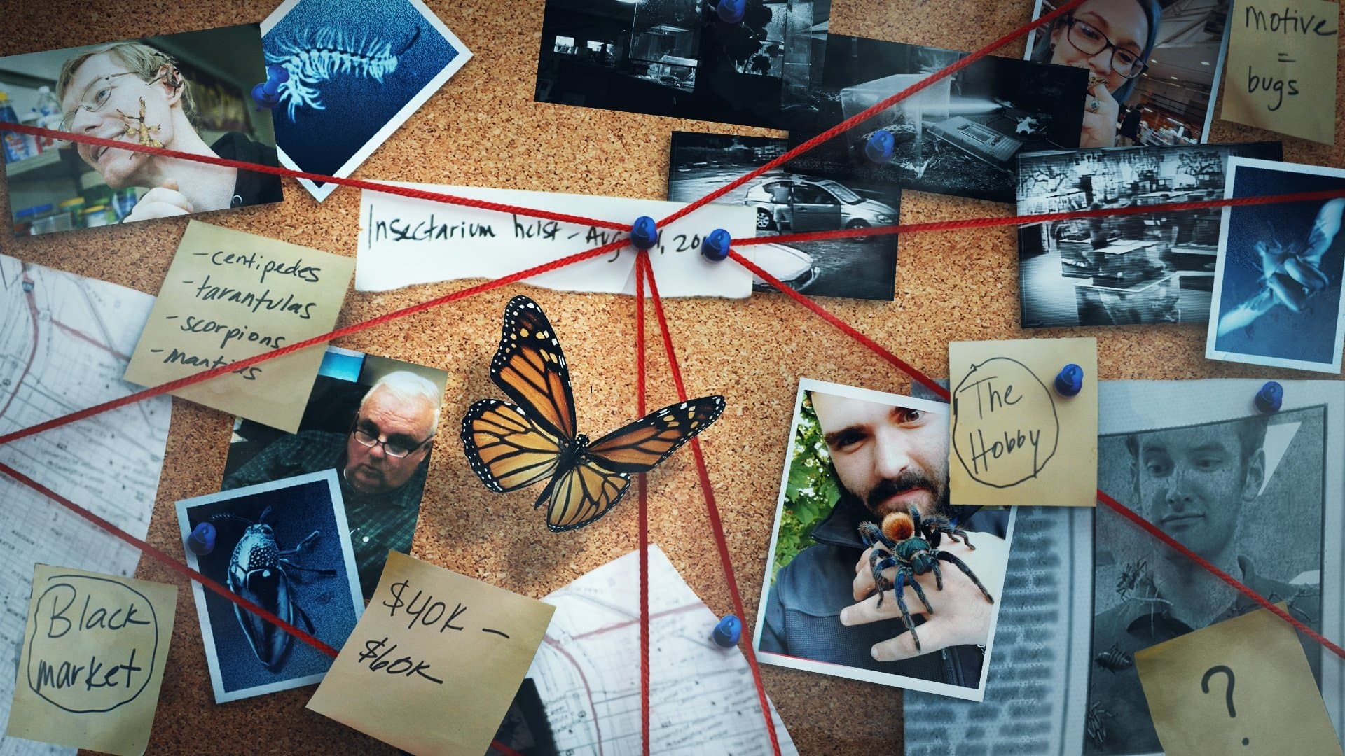 Insekten - Das Big Business mit kleinen Tieren