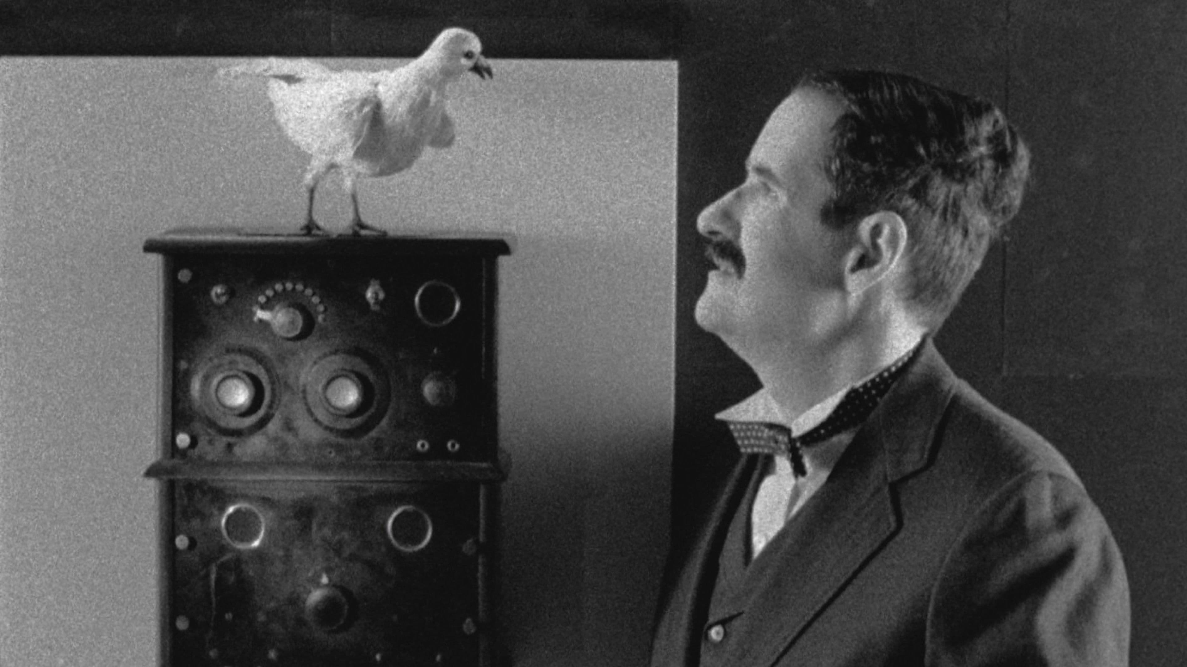 The Tesla World Light