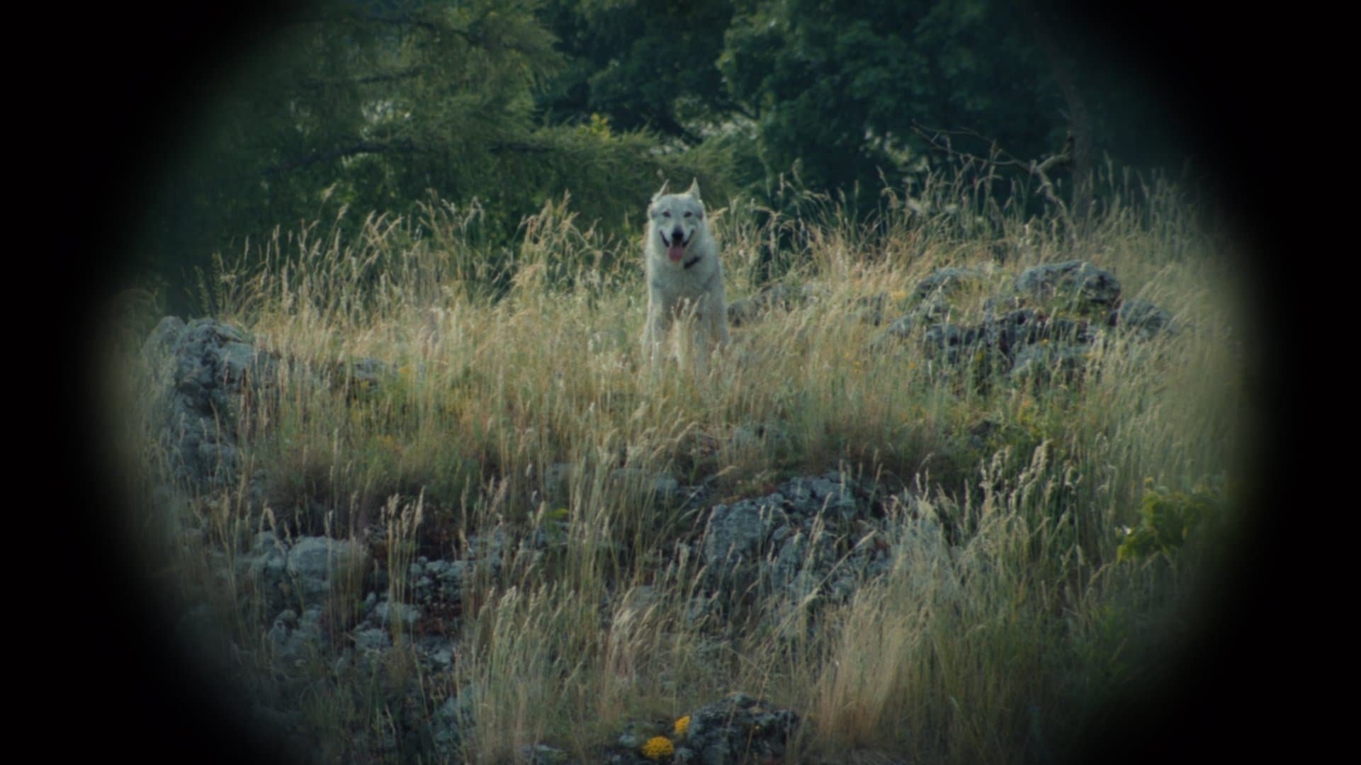 Nebelkind - The End of Silence