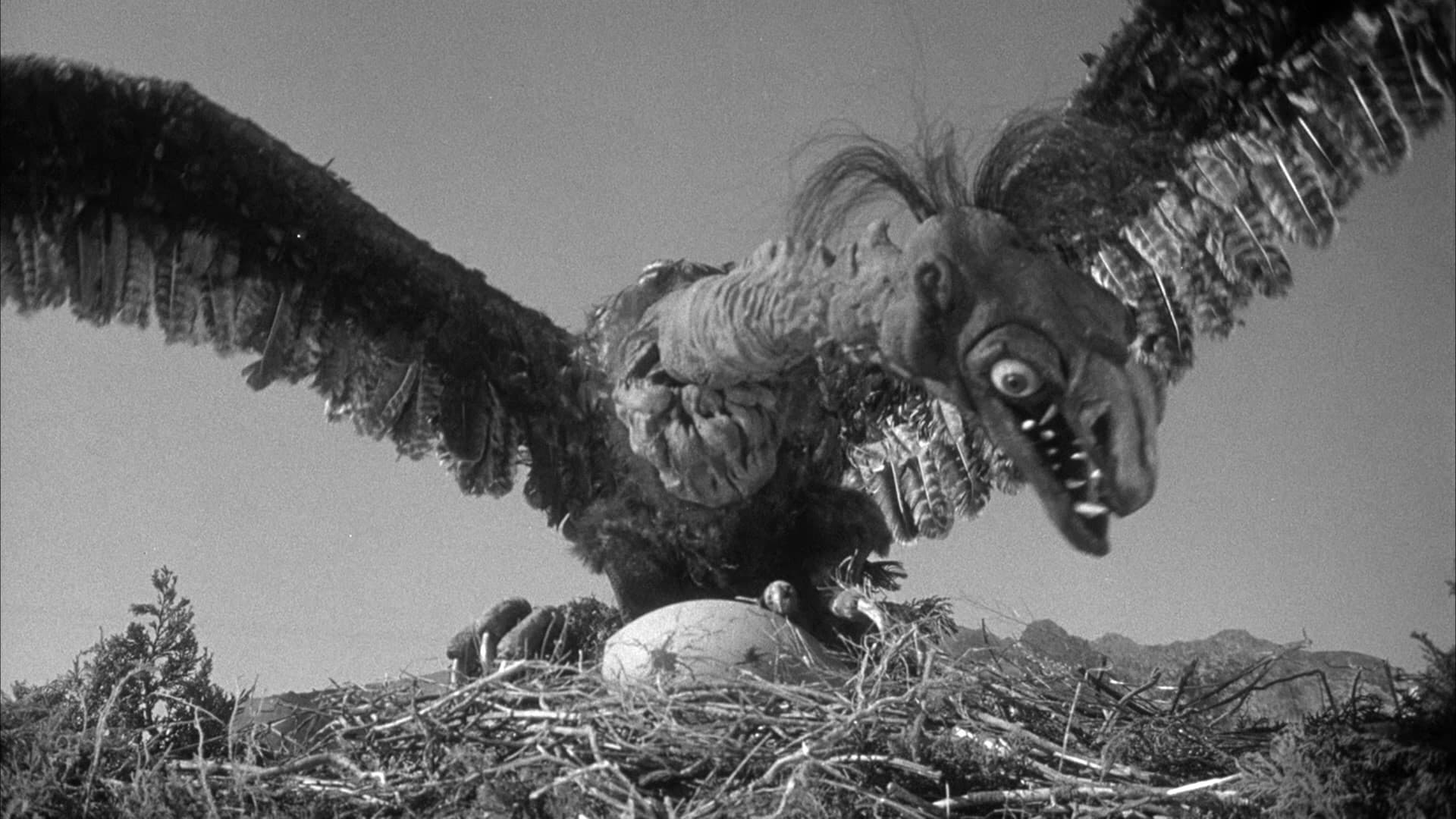 Angriff der Riesenkralle