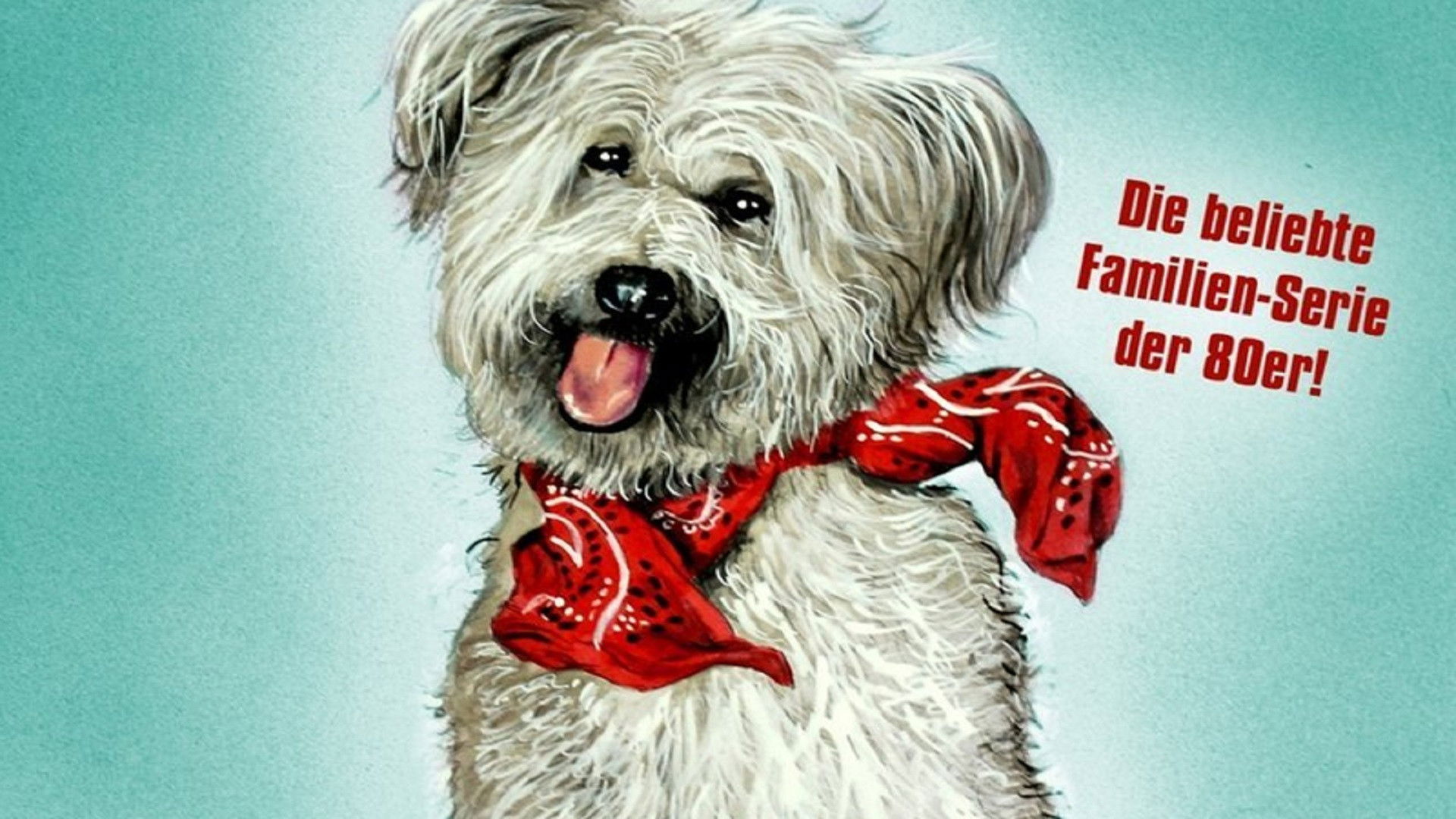 Boomer, der Streuner