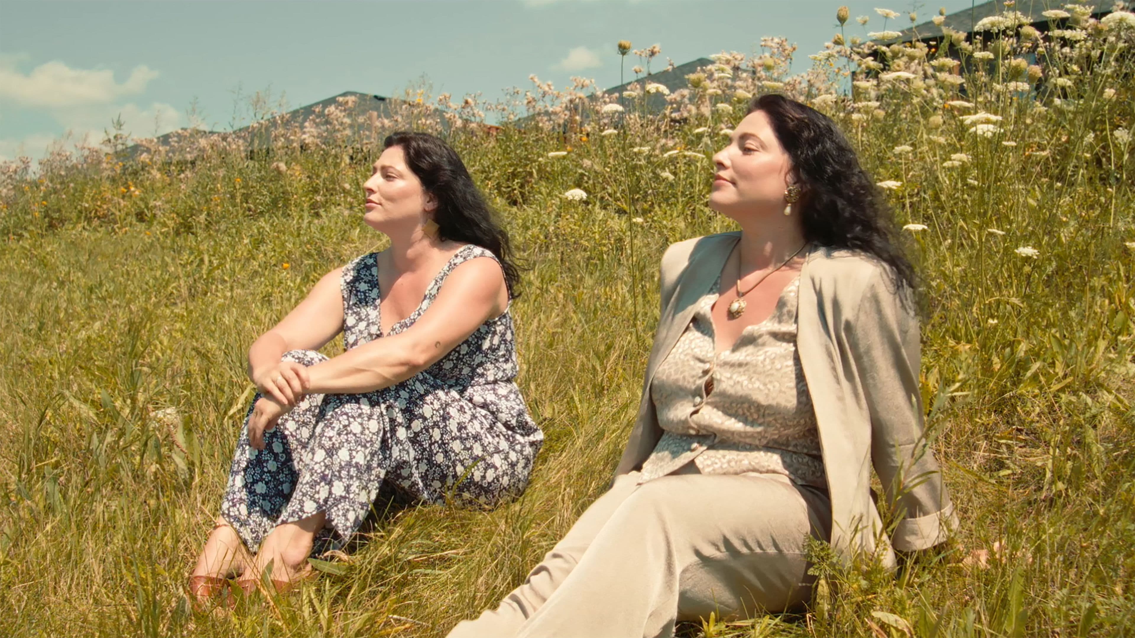 Call of the Blackbird