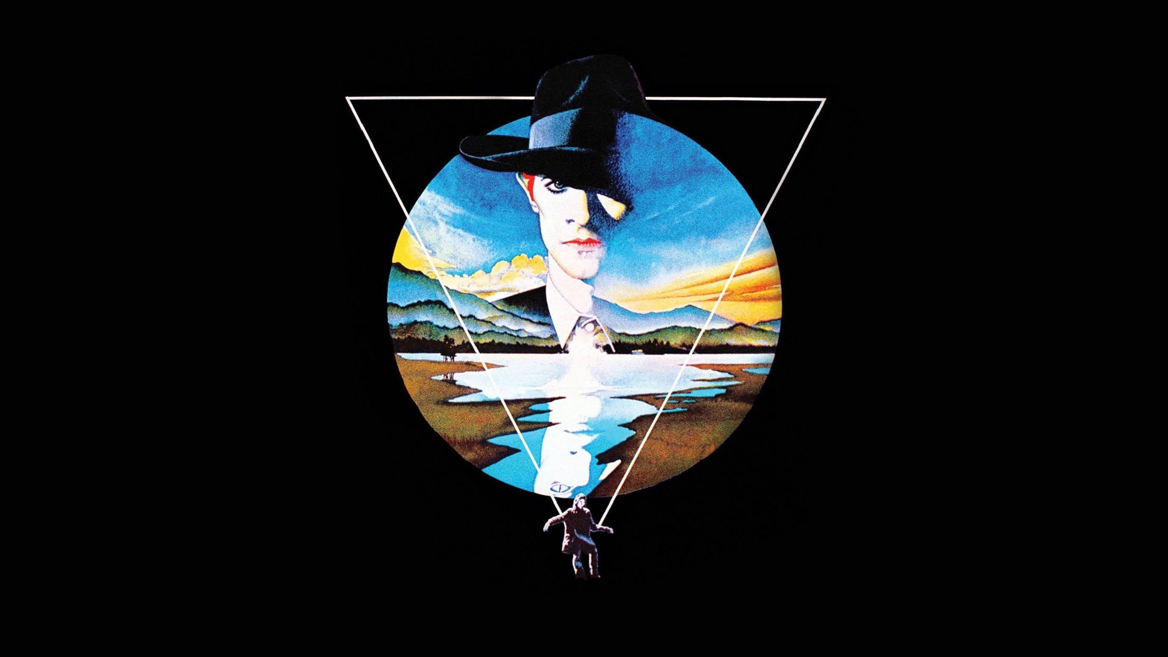 Der Mann, der vom Himmel fiel