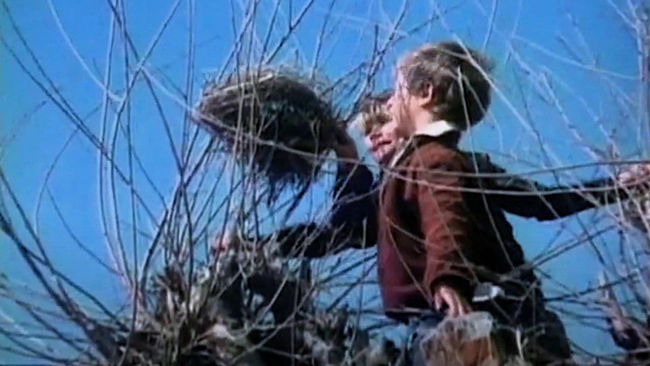 Ангелочек, сделай радость