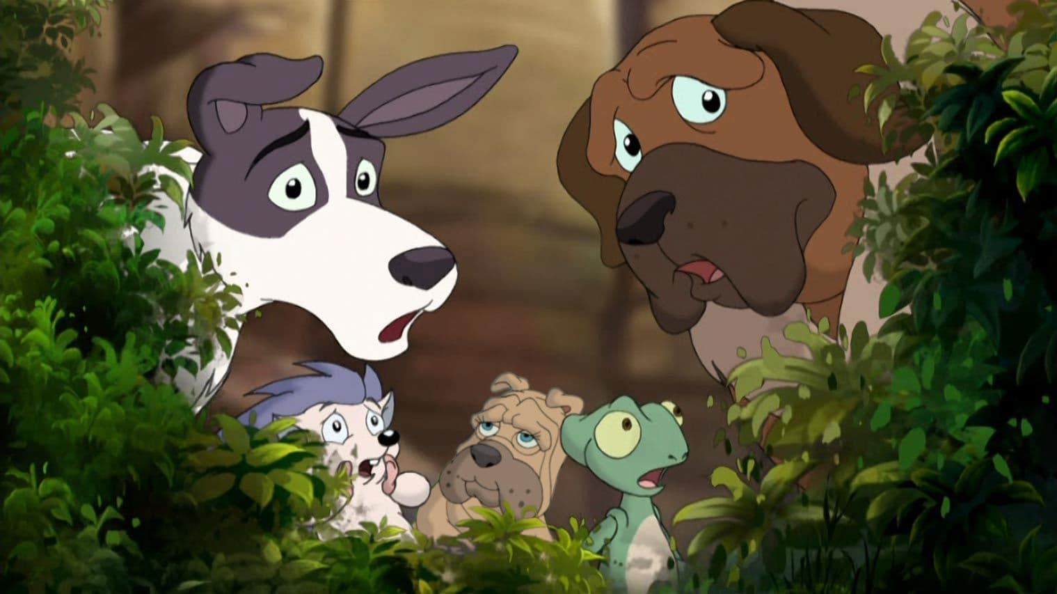 Abenteuer in Jerusalem - Jesus und die Tiere