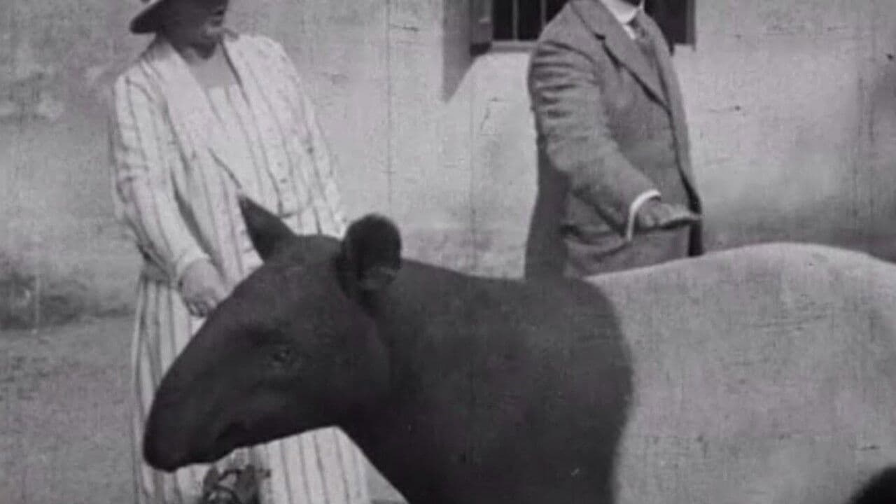 Indian Wildlife Park