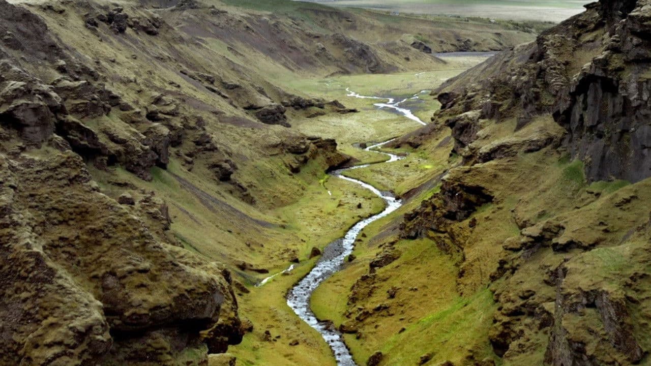 Planet Erde - Die Macht des Lebens