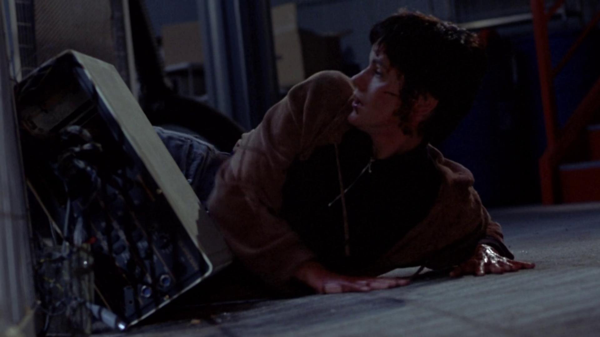 Der Tod kommt auf vier Pfoten