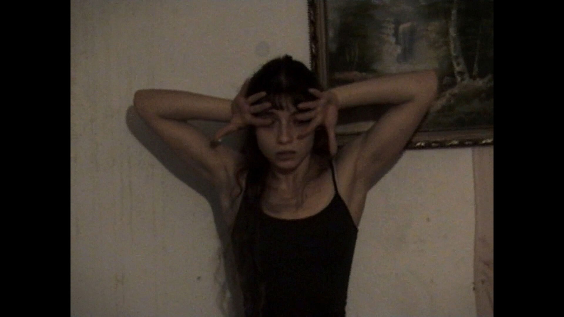 Aproximação ao Bicho