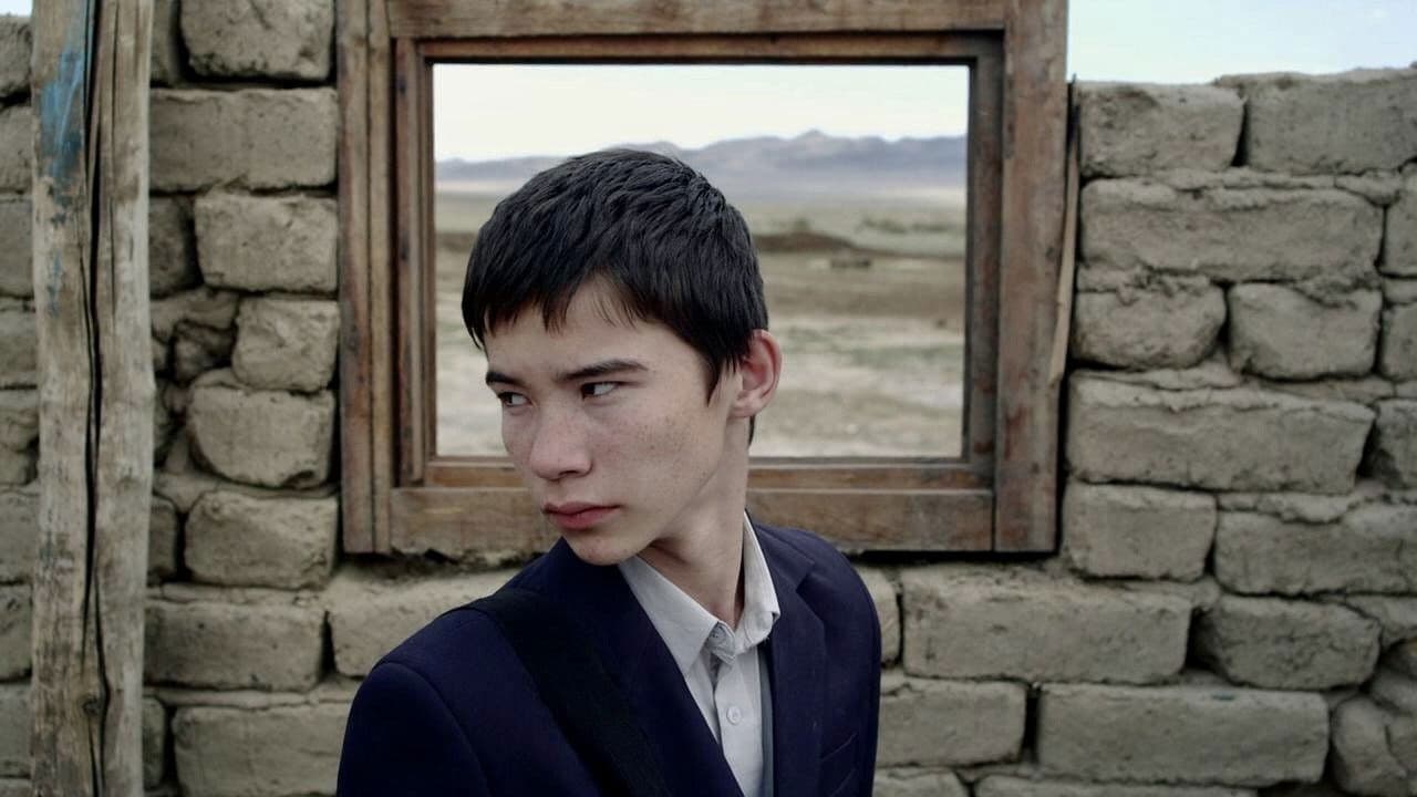 Lehrstunden der Harmonie