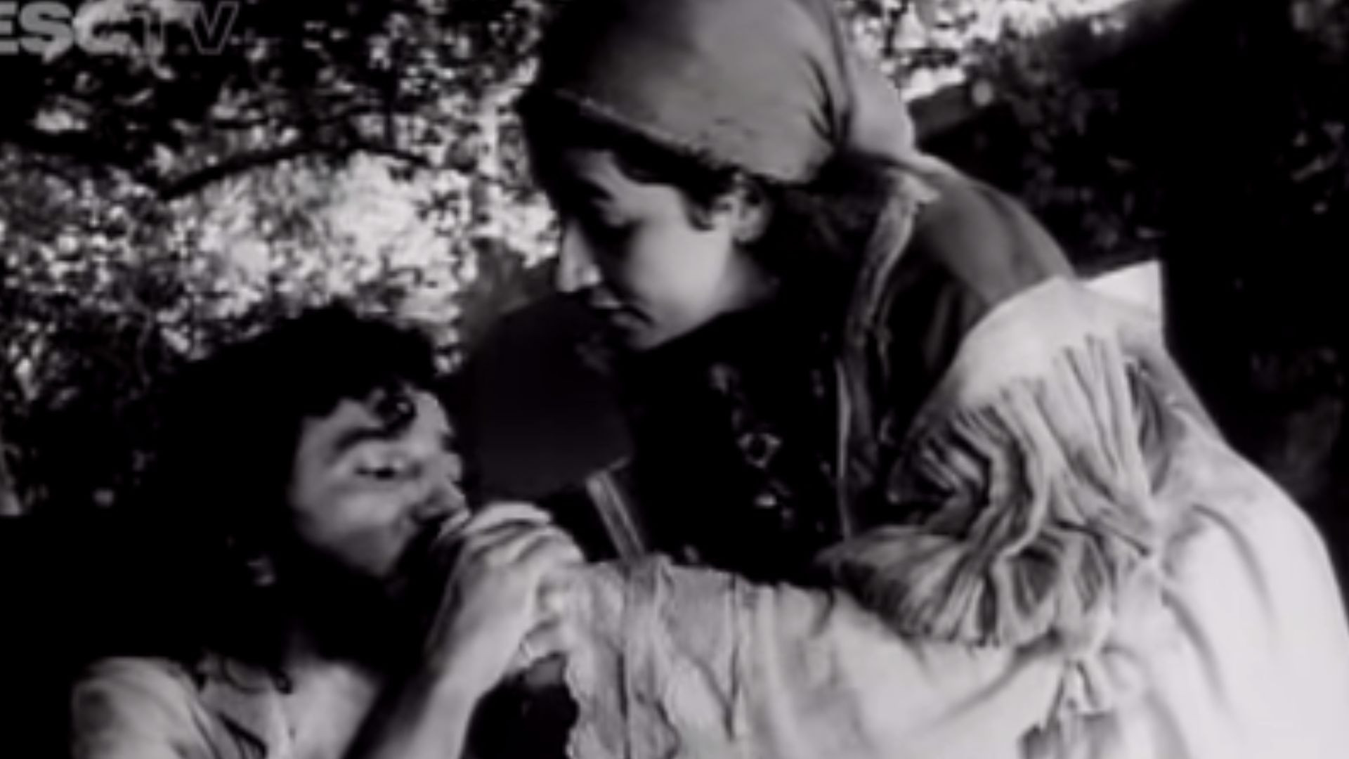 A Árvore da Miséria