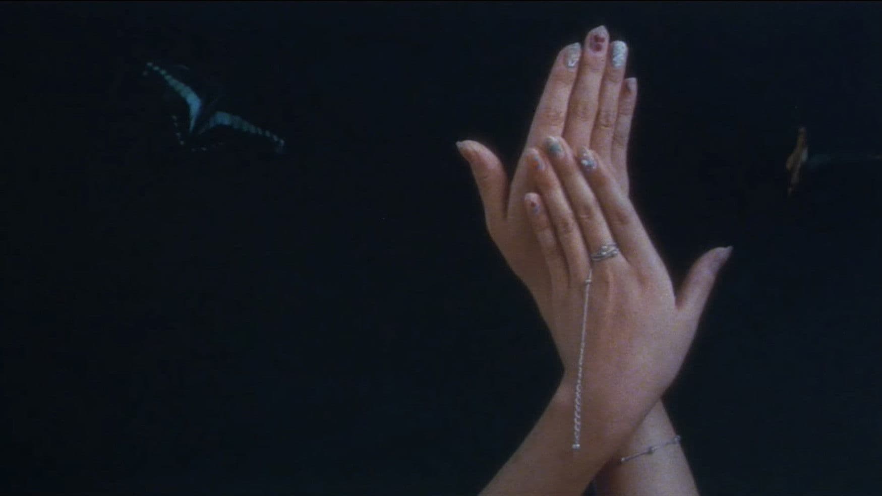 白い肌の狩人　蝶の骨