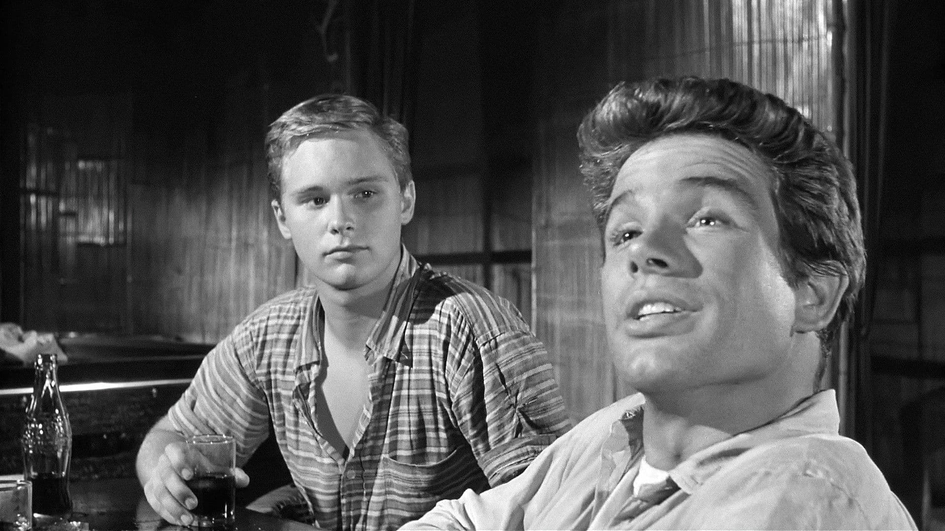 Mein Bruder, ein Lump