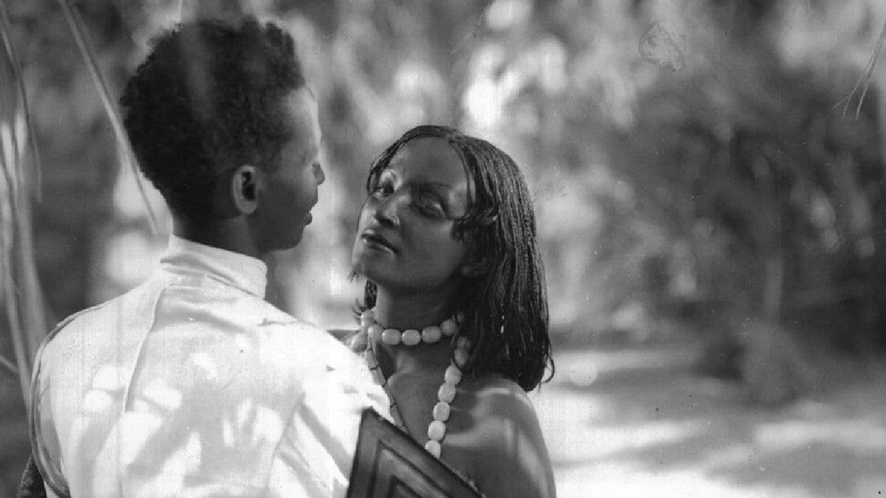 Schüsse in der Wüste