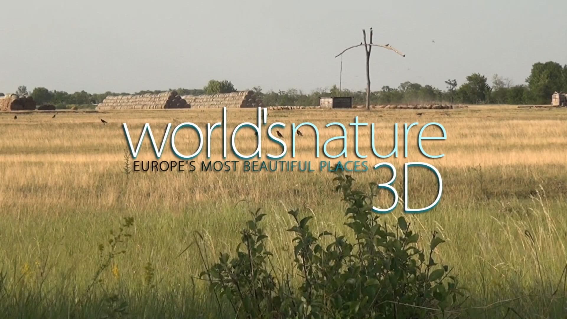 World's Nature 3D