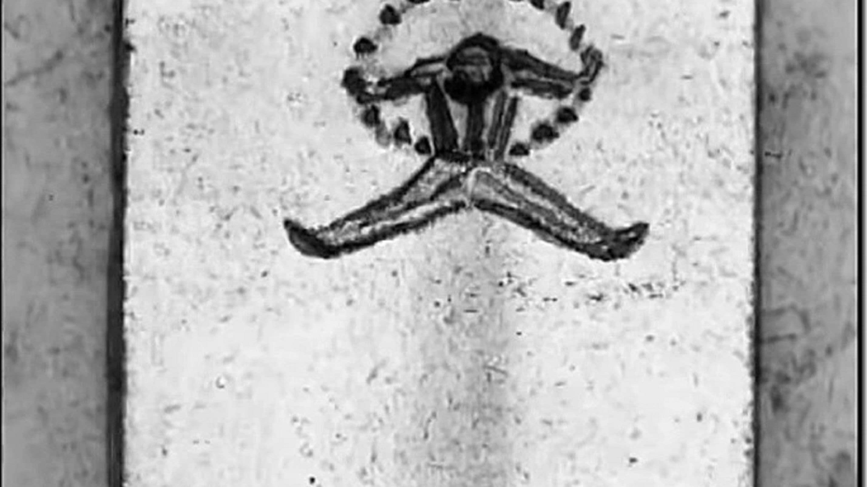 Танец буффона