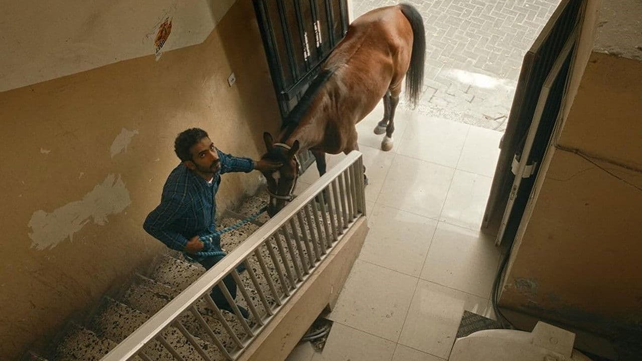 عذر أجمل من ذنب