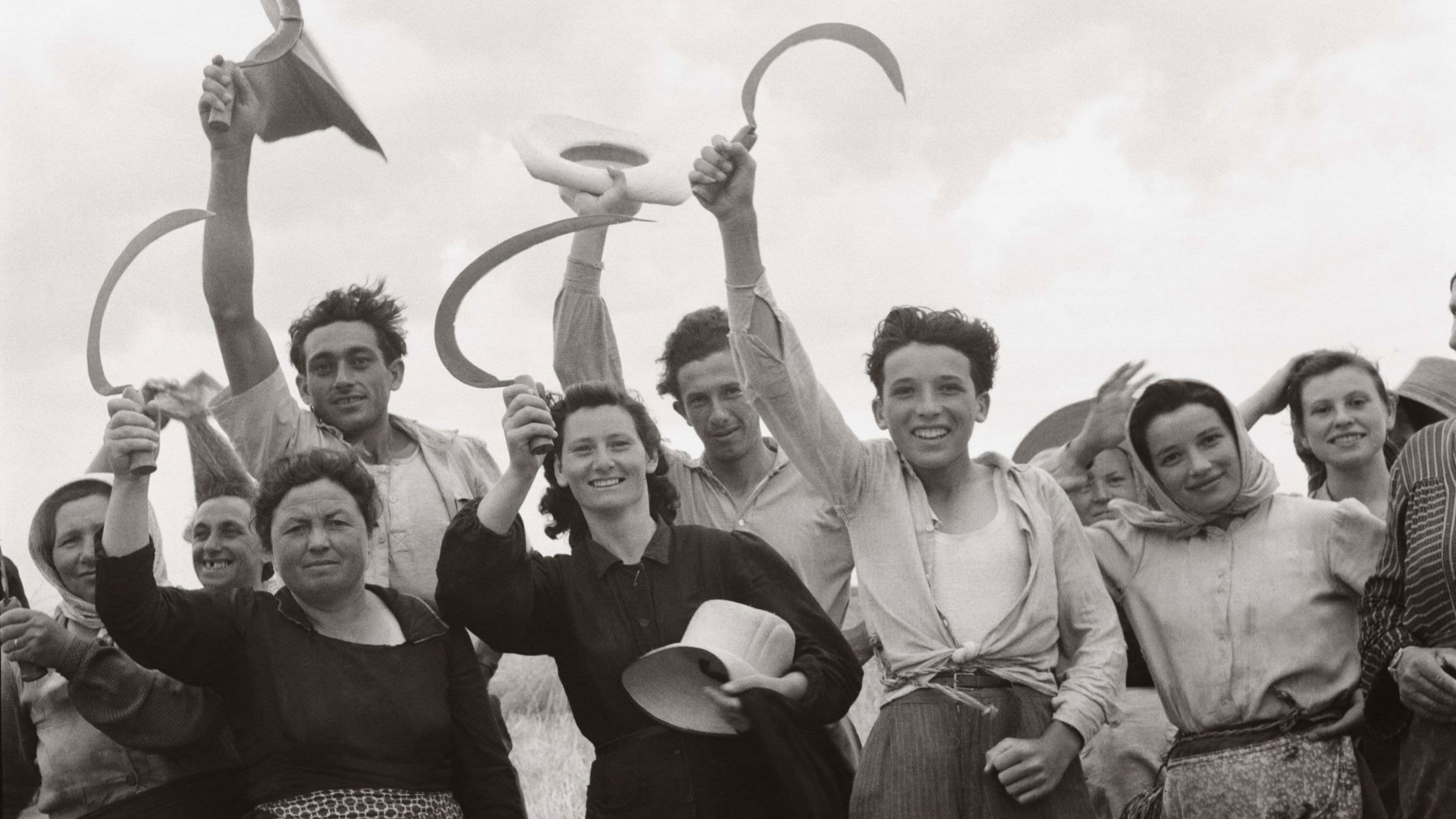 Pflügen, ackern, kämpfen: Die Geschichte der Bauern