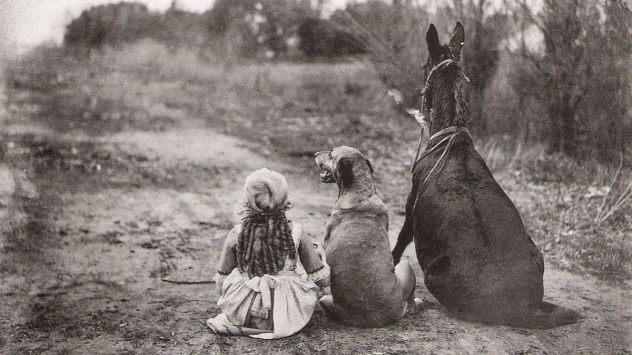 Through the Back Door