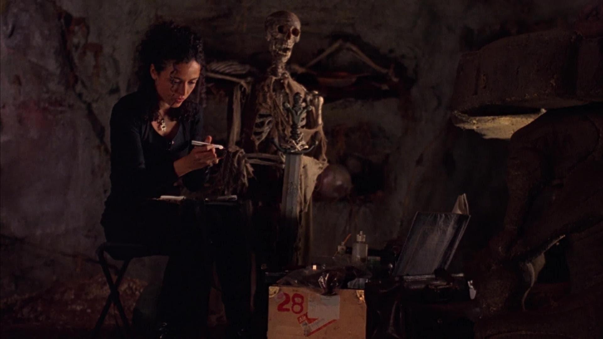 Der Ritter der Apokalypse