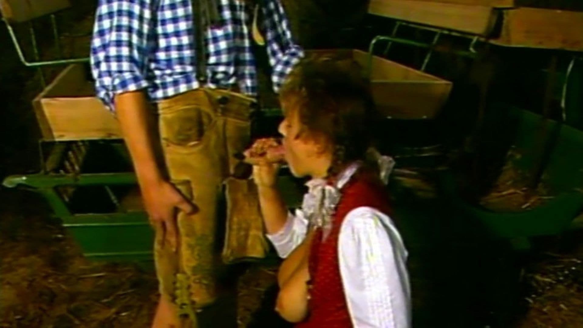 Heidi 3: In der Heidi ist es doch am schönsten