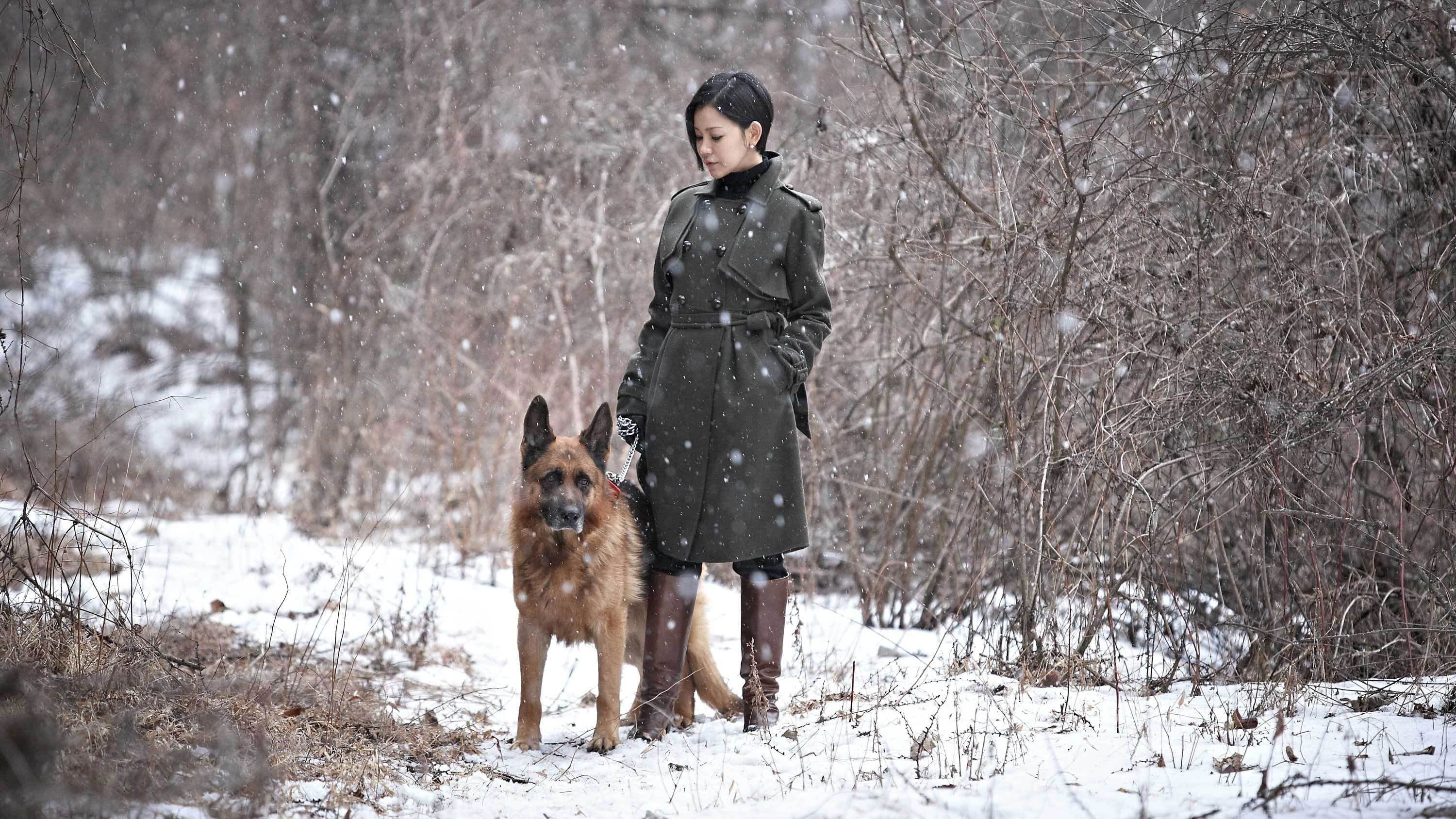 모피를 입은 비너스